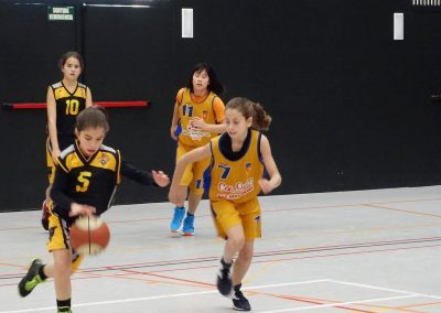 Basketball Tournament and stages in spain